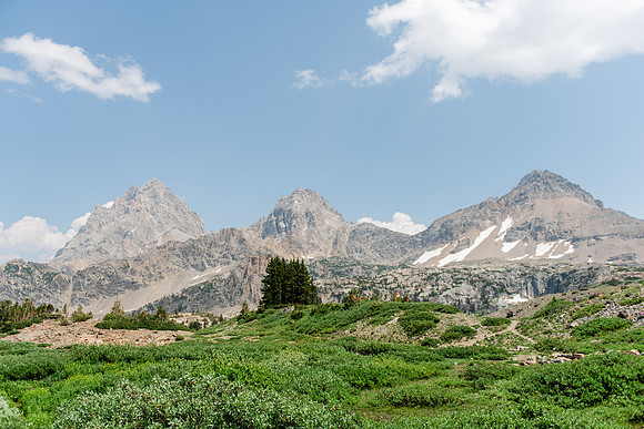 NJP_9177