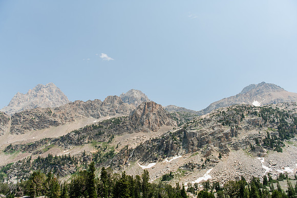 NJP_9168