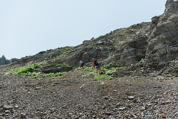 NJP_9186
