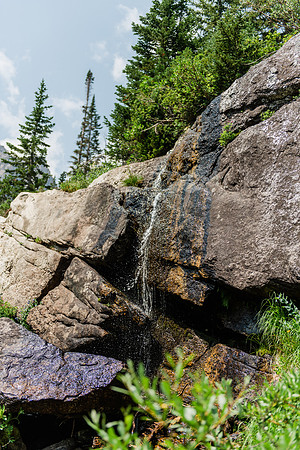 NJP_9139
