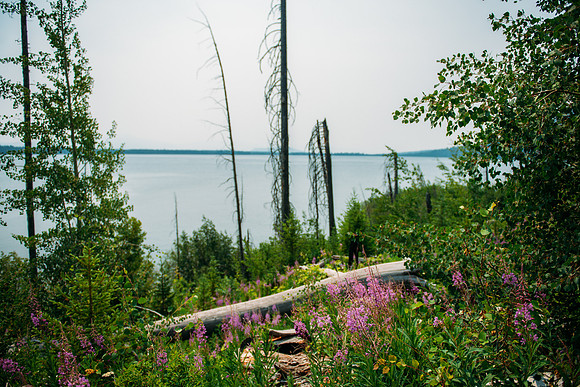 NJP_8923