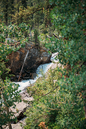 NJP_8939