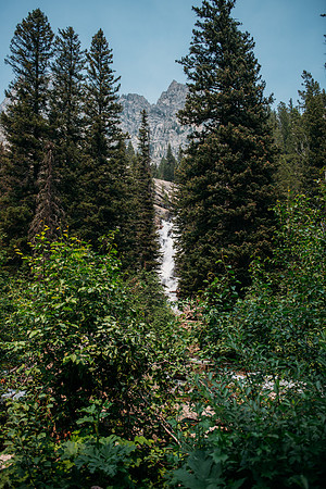 NJP_8945