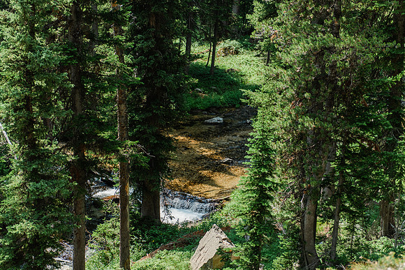 NJP_9132