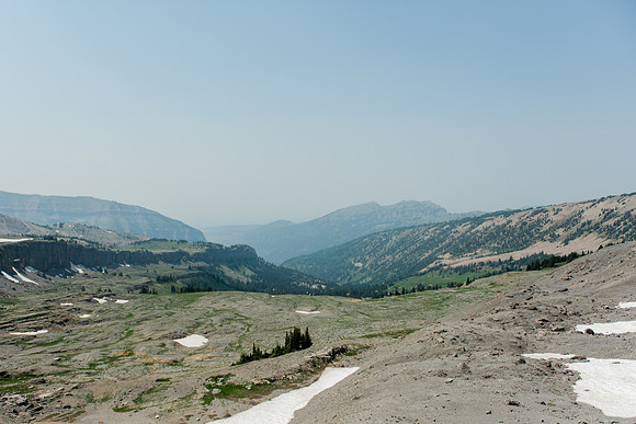 NJP_9207