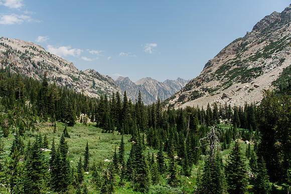 NJP_9161