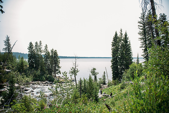 NJP_8906