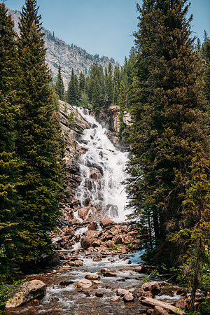 NJP_8946