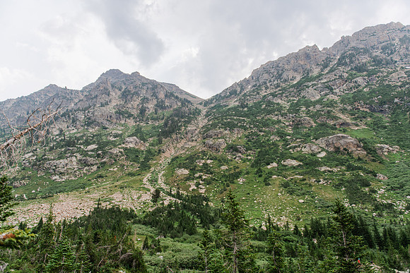 NJP_9090