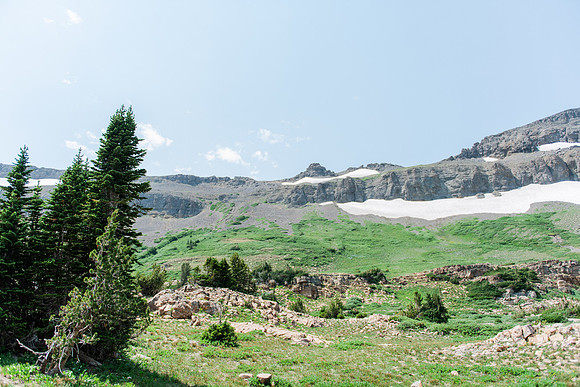 NJP_9175