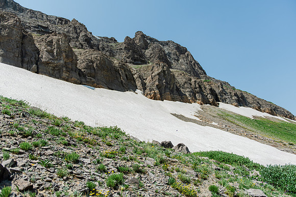 NJP_9183