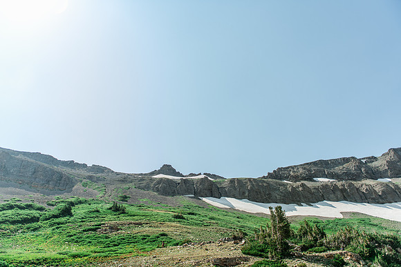 NJP_9327
