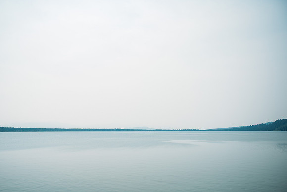 NJP_8918